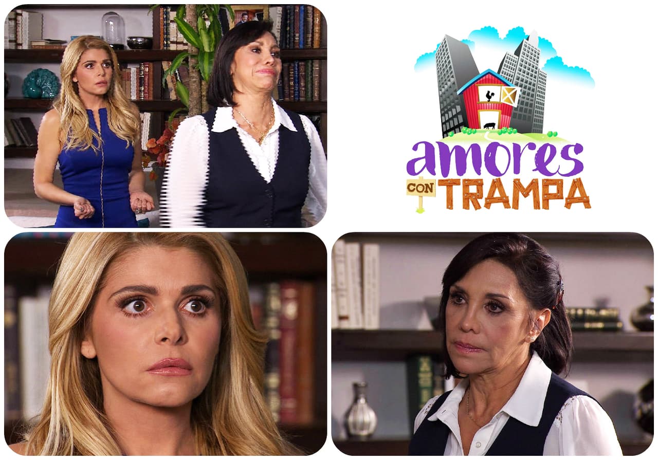 El vecino comenzó a enamorarse y lo tienes en un callejón sin salida.