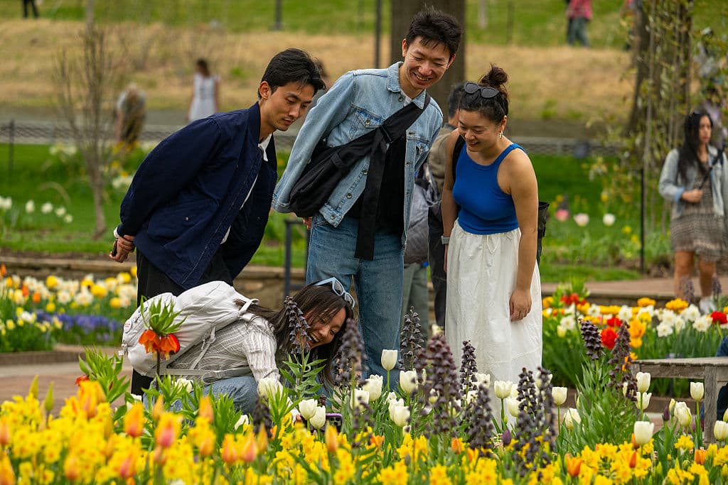 Durante esta temporada,
<b> <a href="https://www.univision.com/local/philadelphia-wuvp/festival-fuentes-longwood-gardens-filadelfia-fotos" target="_blank">las grandes fuentes del jardín permanecen apagadas</a></b>. Nada le roba la atención a la intensidad del color que va bañando todo el paisaje. Grupos de amigos jóvenes encuentran inspiración y conocimiento en Longwood Gardens.
