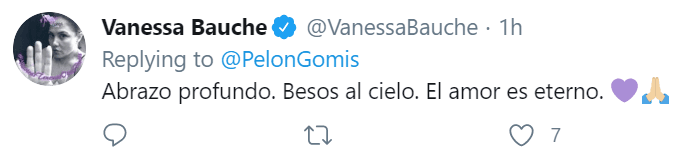Por su parte, Vanessa Bauche envió un mensaje de solidaridad a Héctor Suárez Gomís: "Abrazo profundo. Besos al cielo. El amor es eterno".