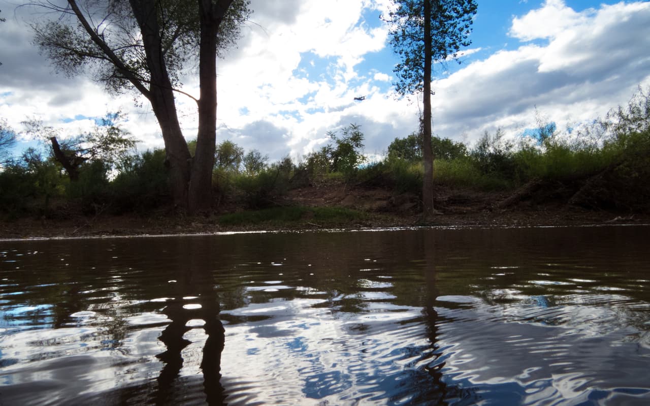 <b>8. Río San Pedro (Arizona): </b>El bombeo no regulado de aguas subterráneas y un desarrollo mal planificado han puesto en riesgo a las especies amenazadas, los ecosistemas ribereños y las aves migratorias que viven alrededor del río San Pedro, que nace en Sonora, México. Tramos del río que antes fluían todo el año ahora están secos. Mientras el cambio climático afecta cada vez más a esta zona árida y desértica, que se vuelve cada vez más cálida y seca, la regulación estatal no restringe el bombeo de aguas subterráneas, a pesar de que estas proveen el 40% del suministro del estado. De esta forma, tanto hogares como empresas perforan pozos cada vez más profundos, porque se secan, y no hay regulación que les impida extraer las aguas subterráneas.