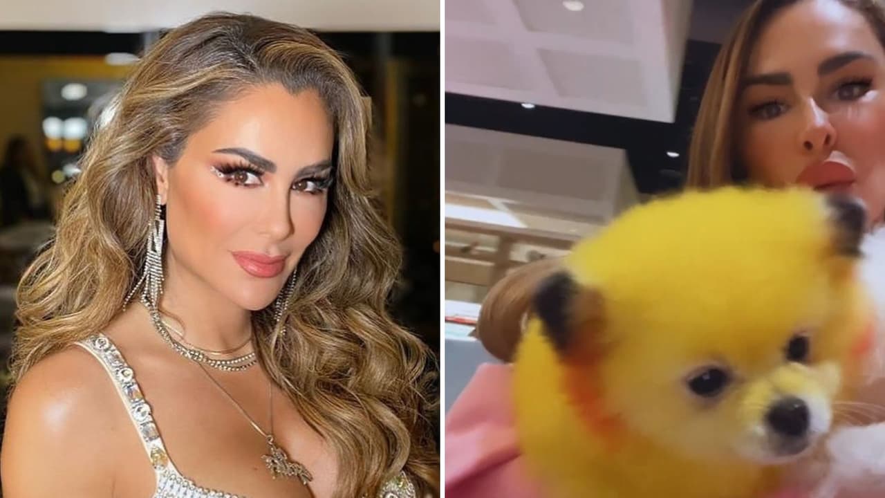 Ninel Conde responde a críticas por supuesto maltrato animal tras aparecer con 'perrito Pikachu'