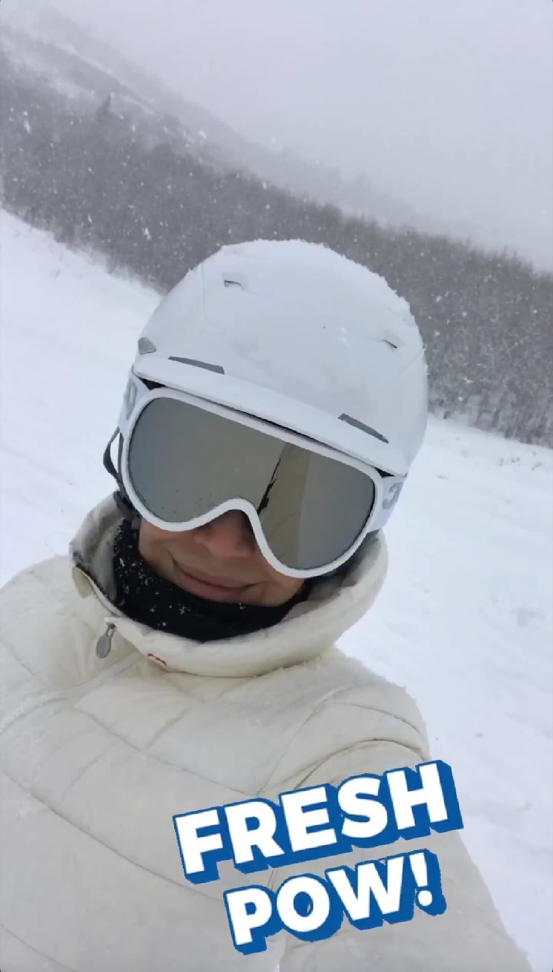 Los paisajes nevados fueron ideales para darle la bienvenida a las fiestas de diciembre.