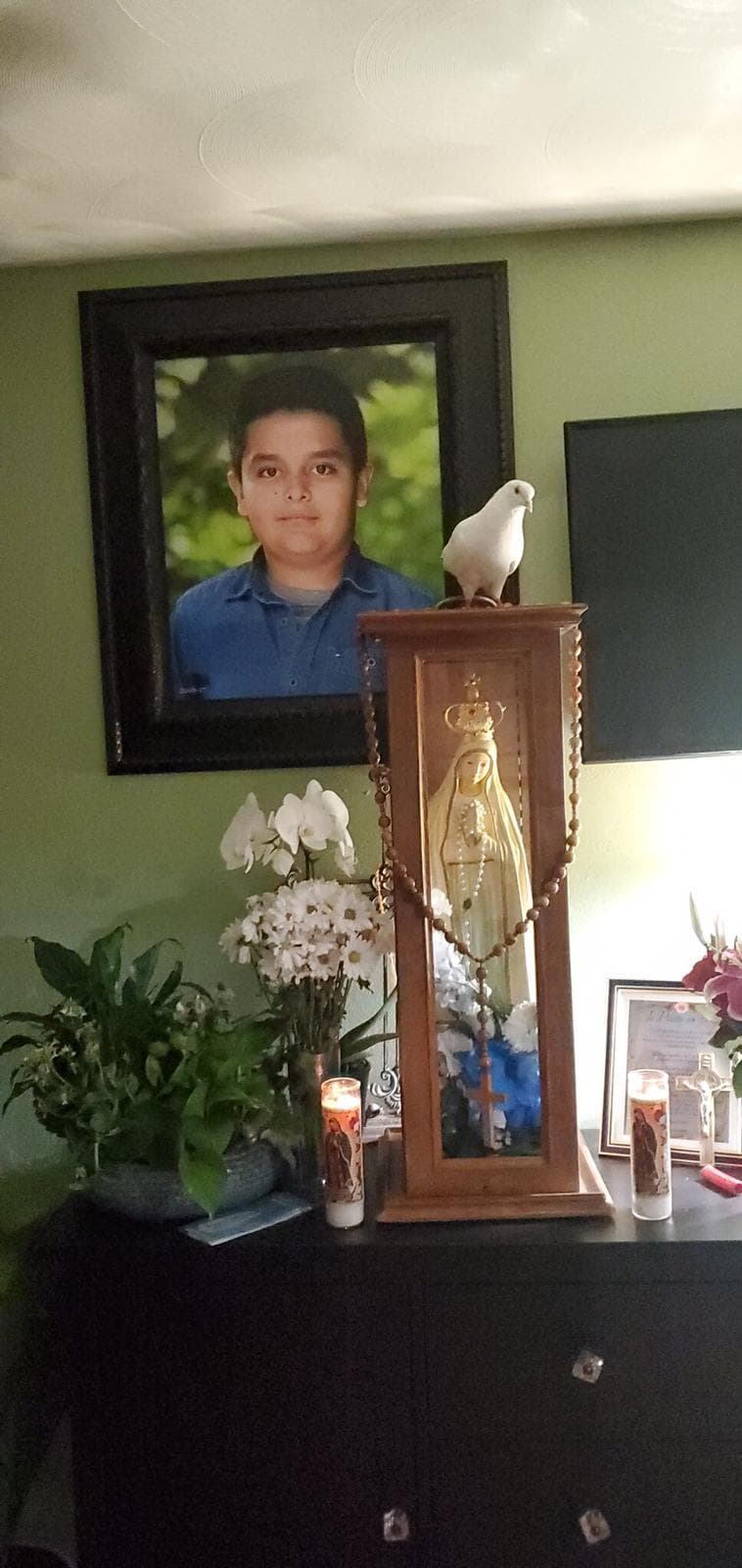 Familia en Carrollton asegura que la presencia de una paloma blanca ha traído paz a su hogar