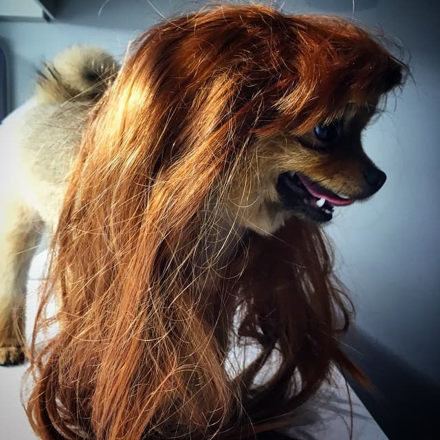 Es la sensación de las redes sociales de la también actriz.