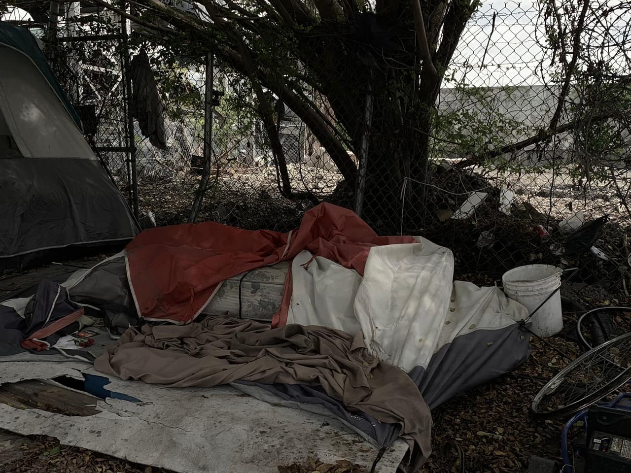 La situación ha generado molestias entre algunos miembros de la comunidad, pues dicen que no hay una solución concreta, y estos individuos podrían terminar esparcidos por toda la ciudad.
<br>