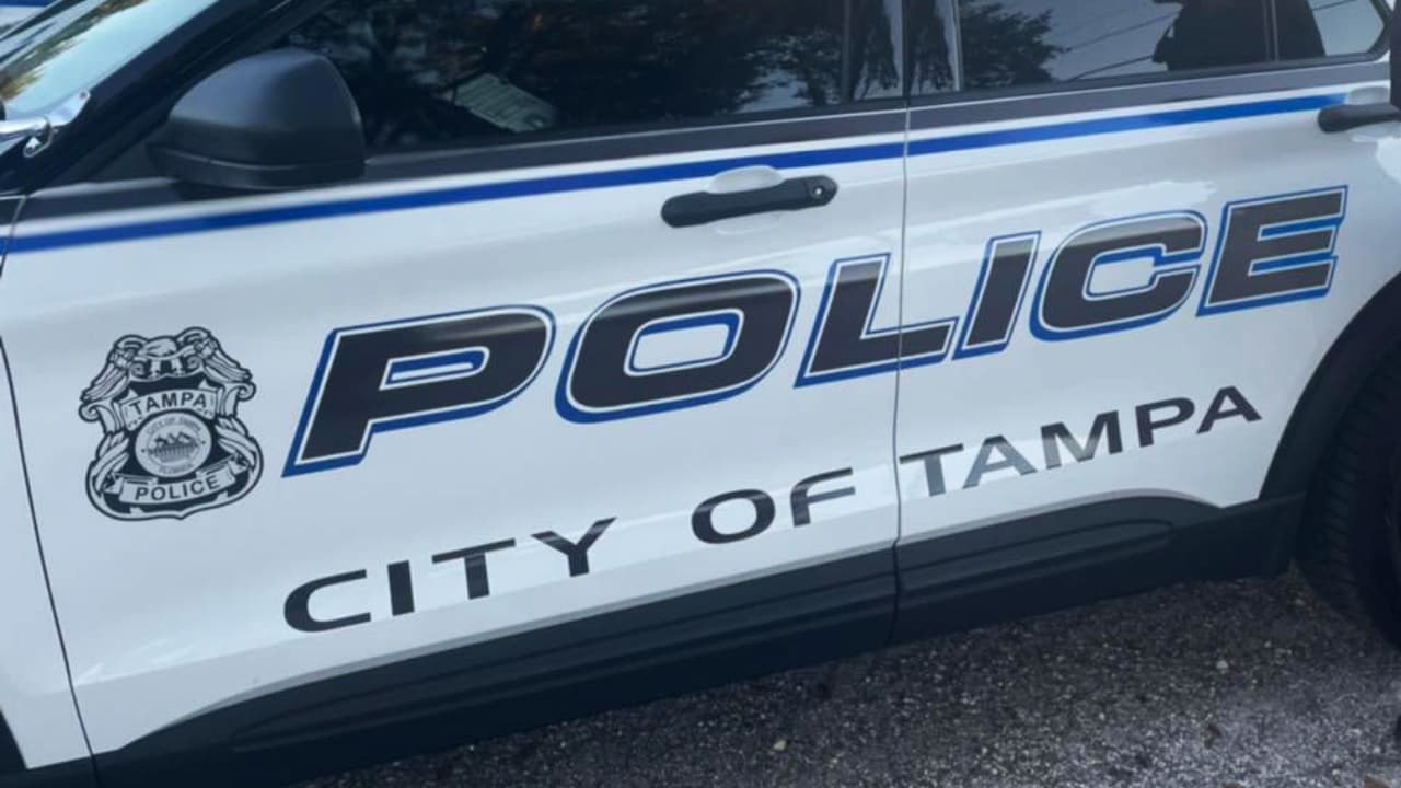 Hallan muerto a recién nacido en un basurero, cerca de la Universidad de Tampa