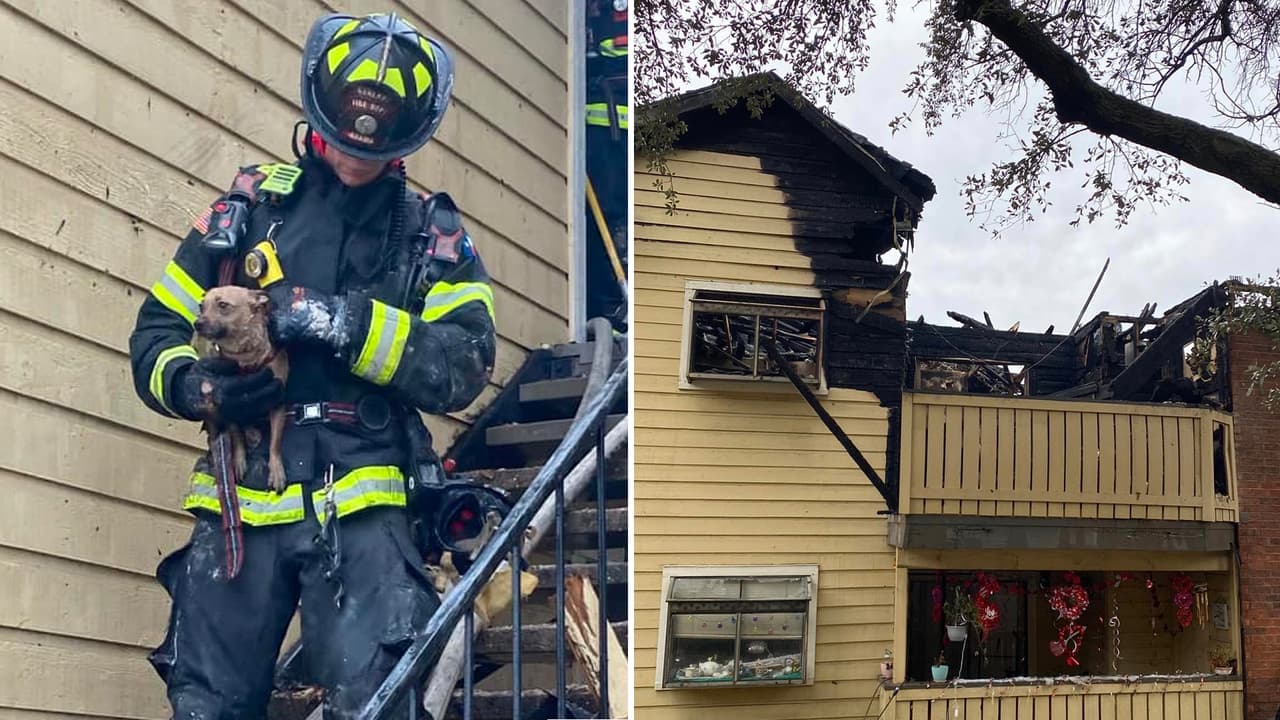 En video: Bomberos salvan a dos perritos atrapados en un incendio en el norte de Texas