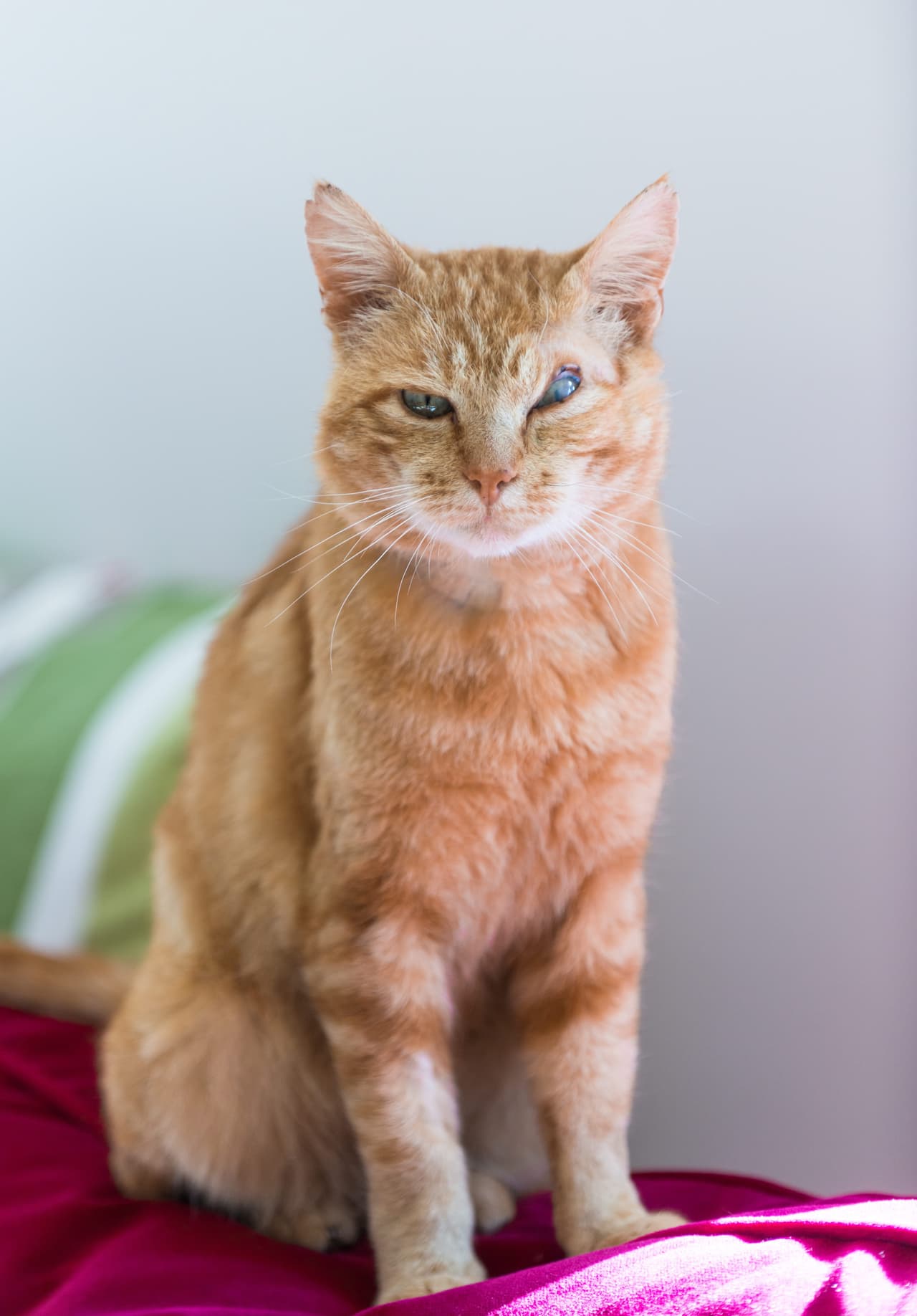 Sin embargo, nadie fue a reclamarlo.