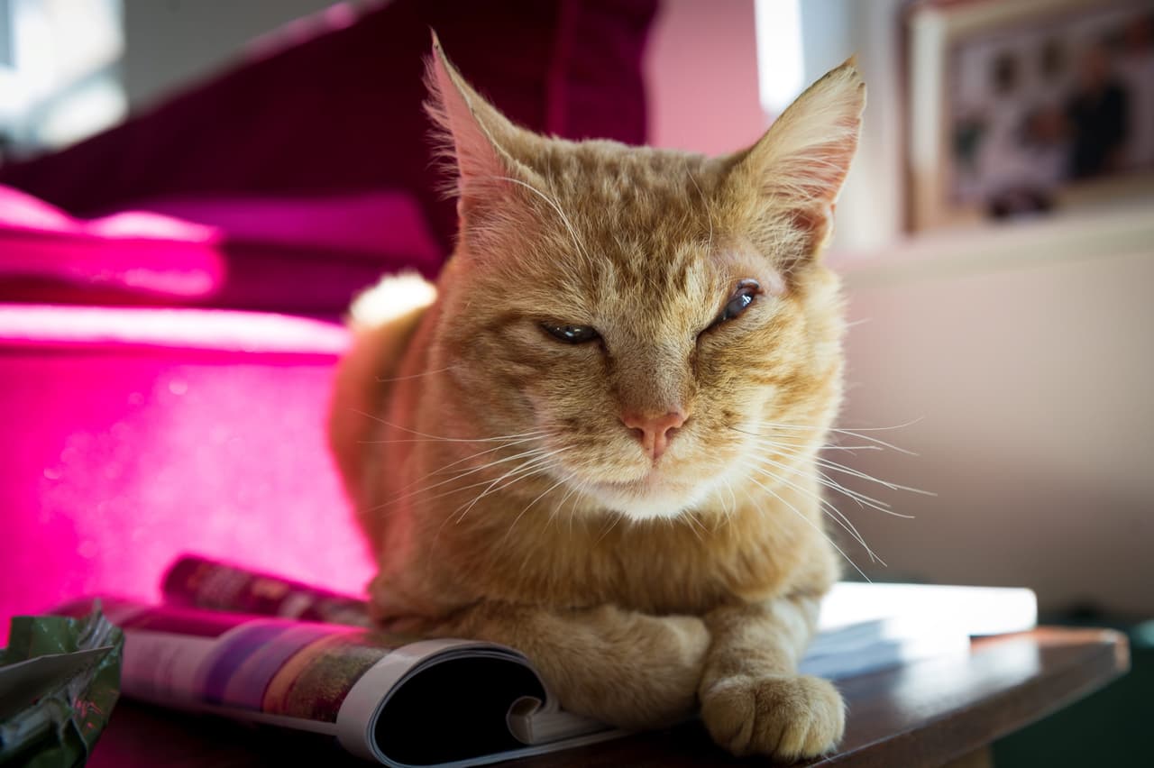 Los cuidados que le dieron a su ojo parecieron insuficientes.