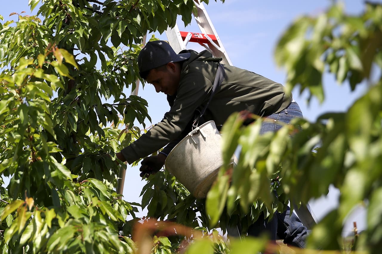El condado de Fresno es la capital alimentaria del país