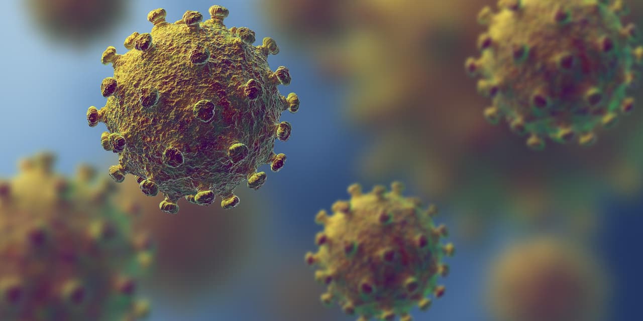 Según la investigación, los científicos descubrieron que el coronavirus era detectable en aerosoles hasta después de tres horas, unas cuatro horas en cobre, hasta 24 horas en cartón y hasta dos o tres días en plástico y acero inoxidable.