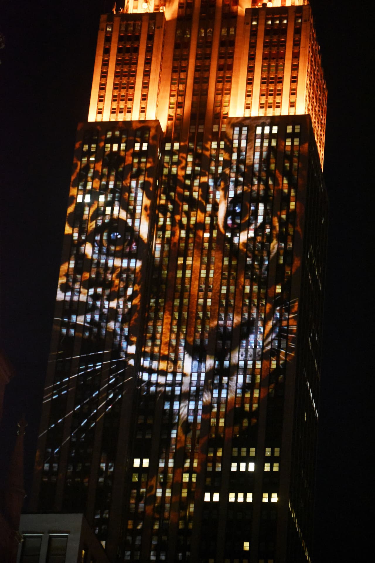 La conciencia social sobre lo que sucede con estos animalitos es necesaria.