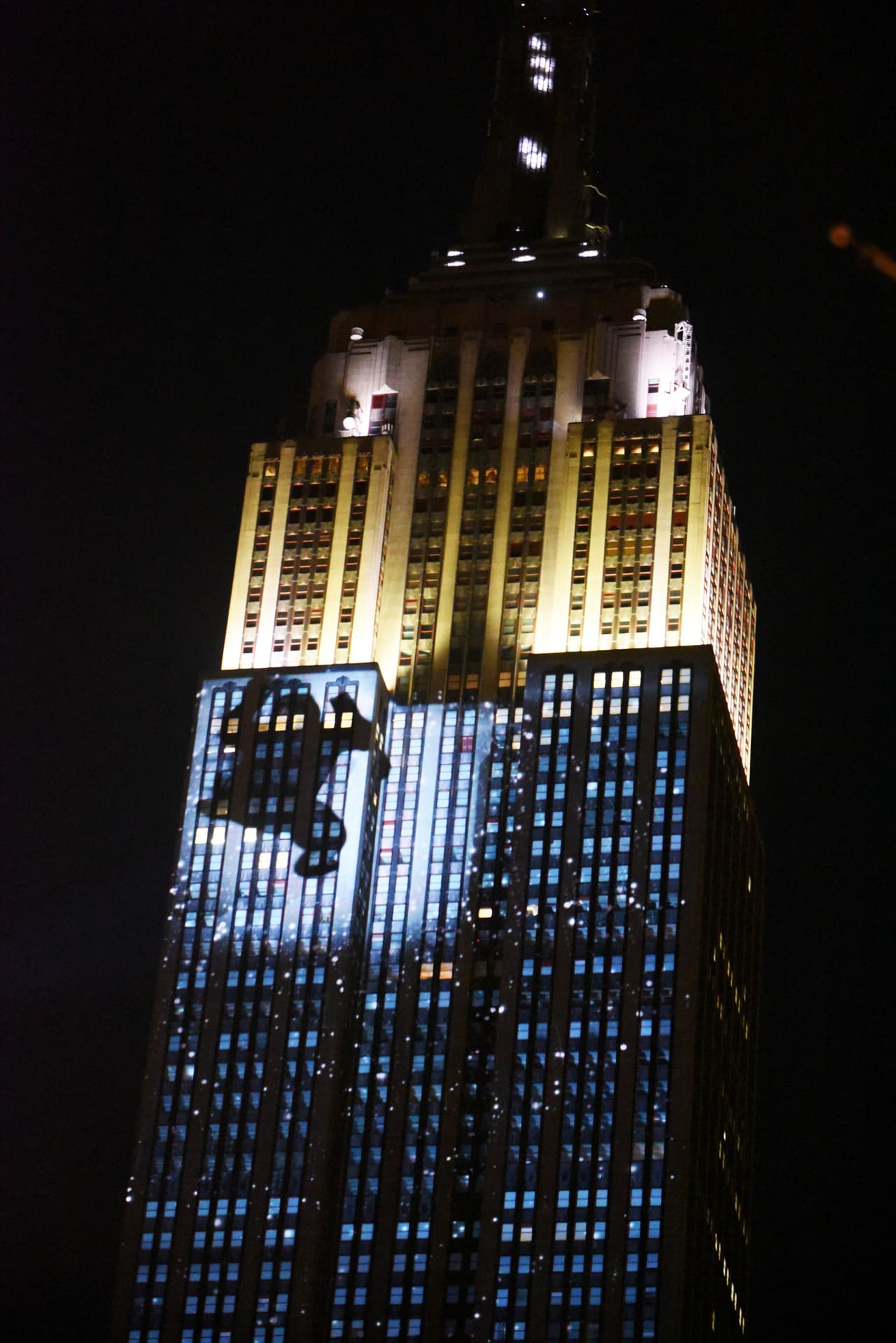 Por eso el Empire State se aseguró de que las personas recuerden que hay criaturas en serio peligro de desaparecer de nuestro mundo.