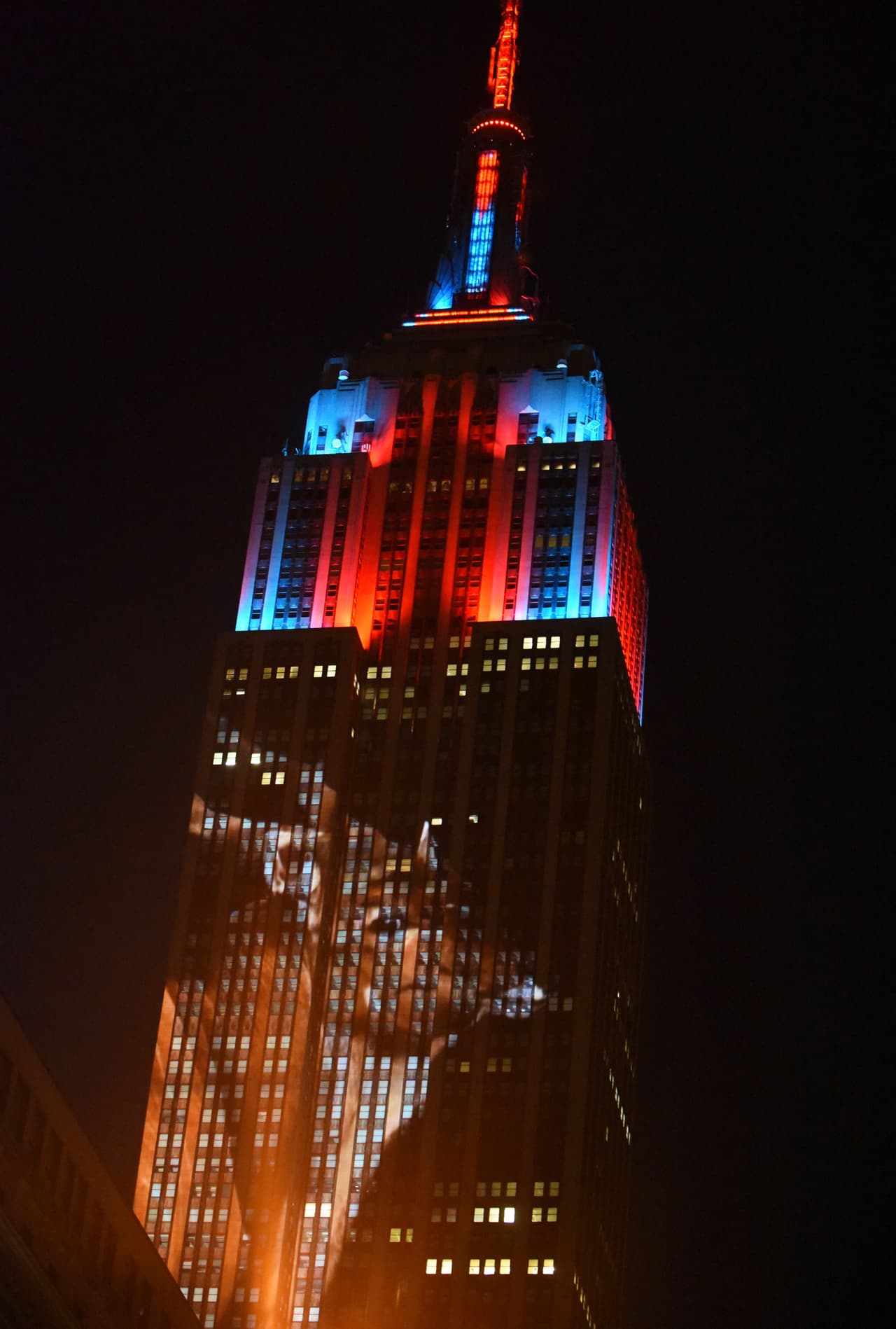 A casi 20 cuadras a la redonda los neoyorkinos pudieron ver los animales que el mundo está perdiendo.