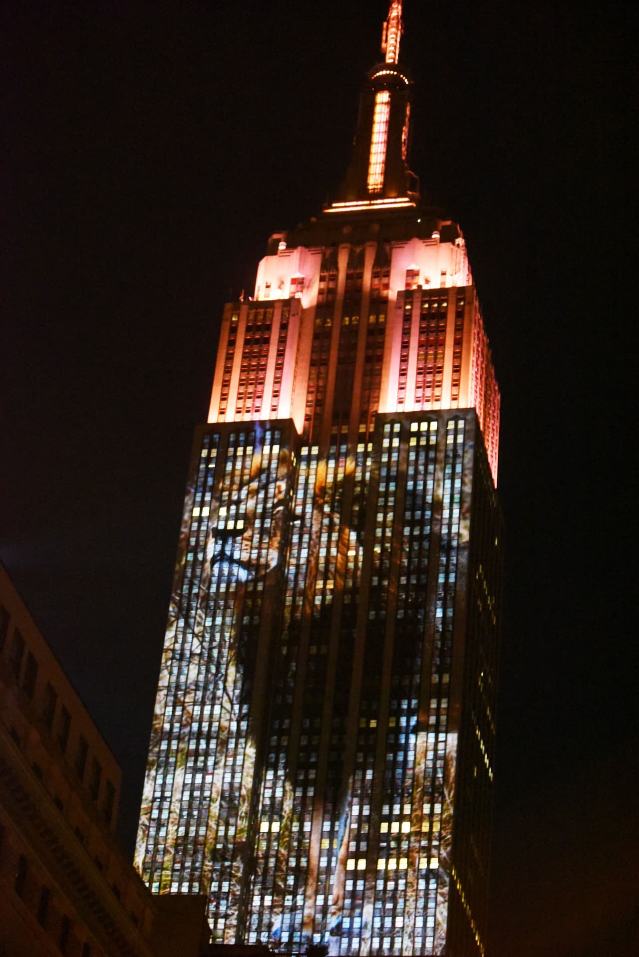 El evento fue organizado por Discovery Channel.