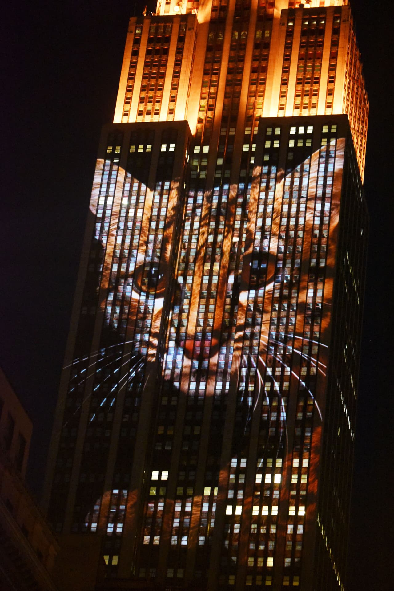 Querían llamar la atención sobre la situación de estas especies.