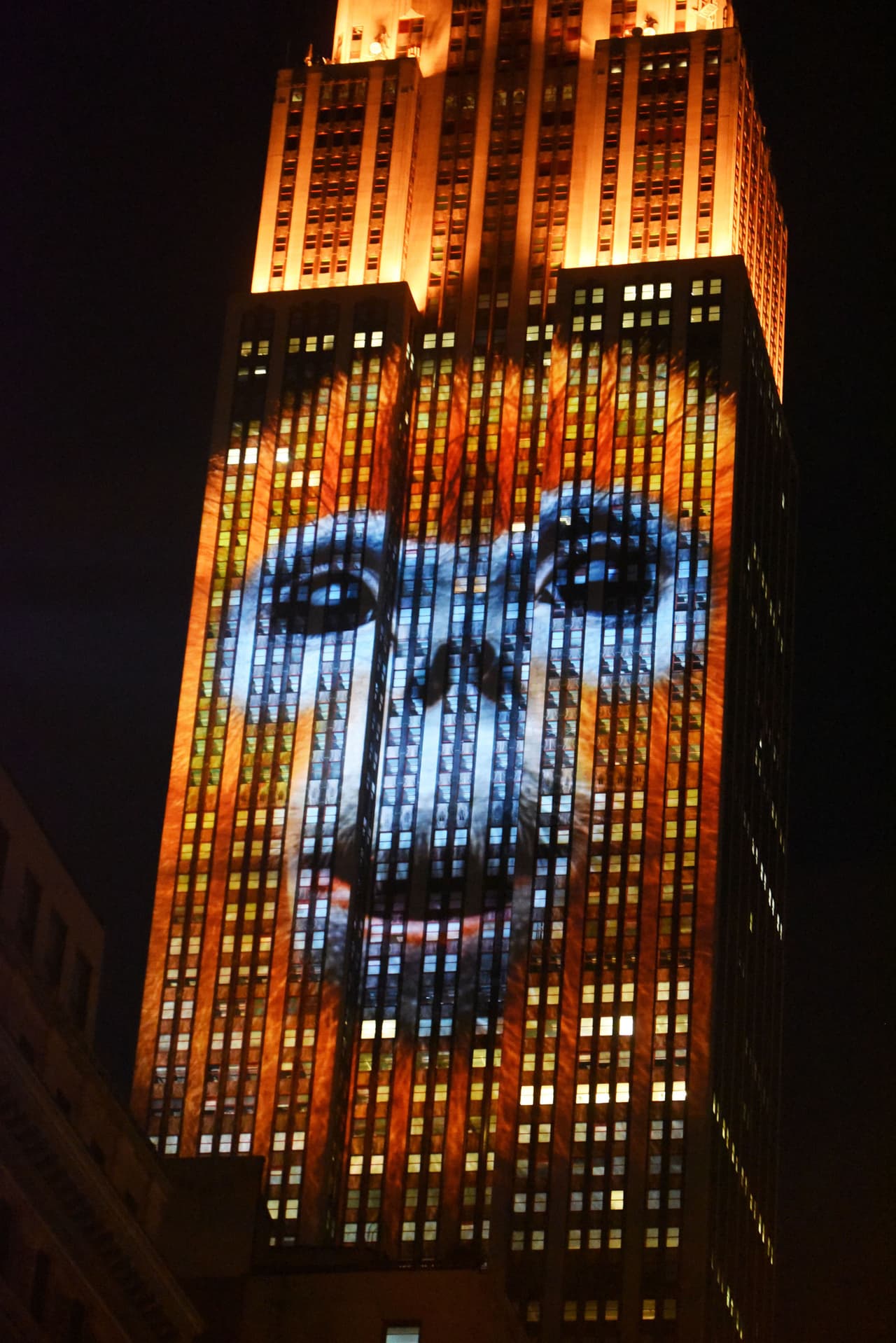 Justamente el propósito de las proyecciones era hacer conciencia sobre la situación.