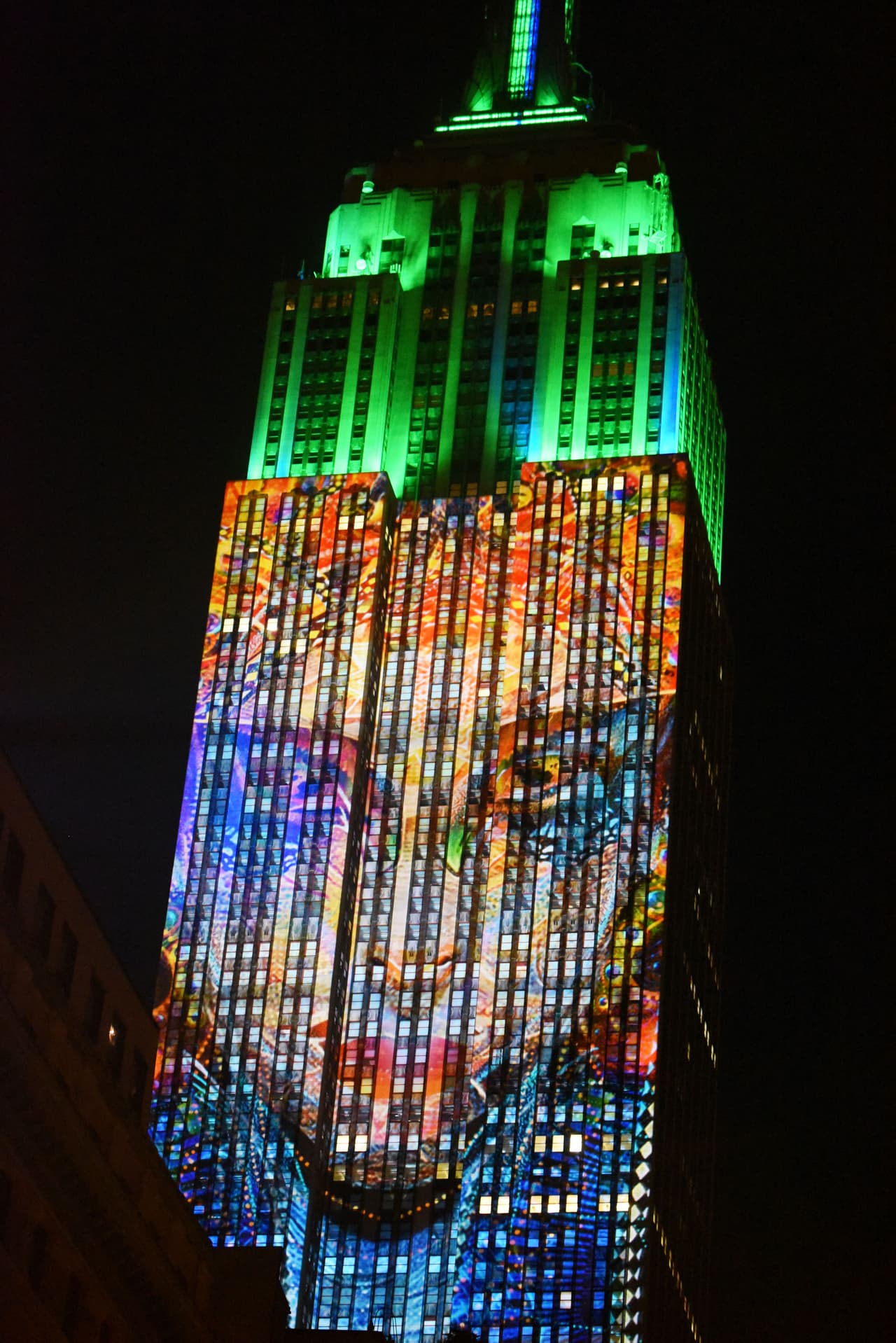 Más de 160 especies aparecieron en las paredes y ventanas del edificio.