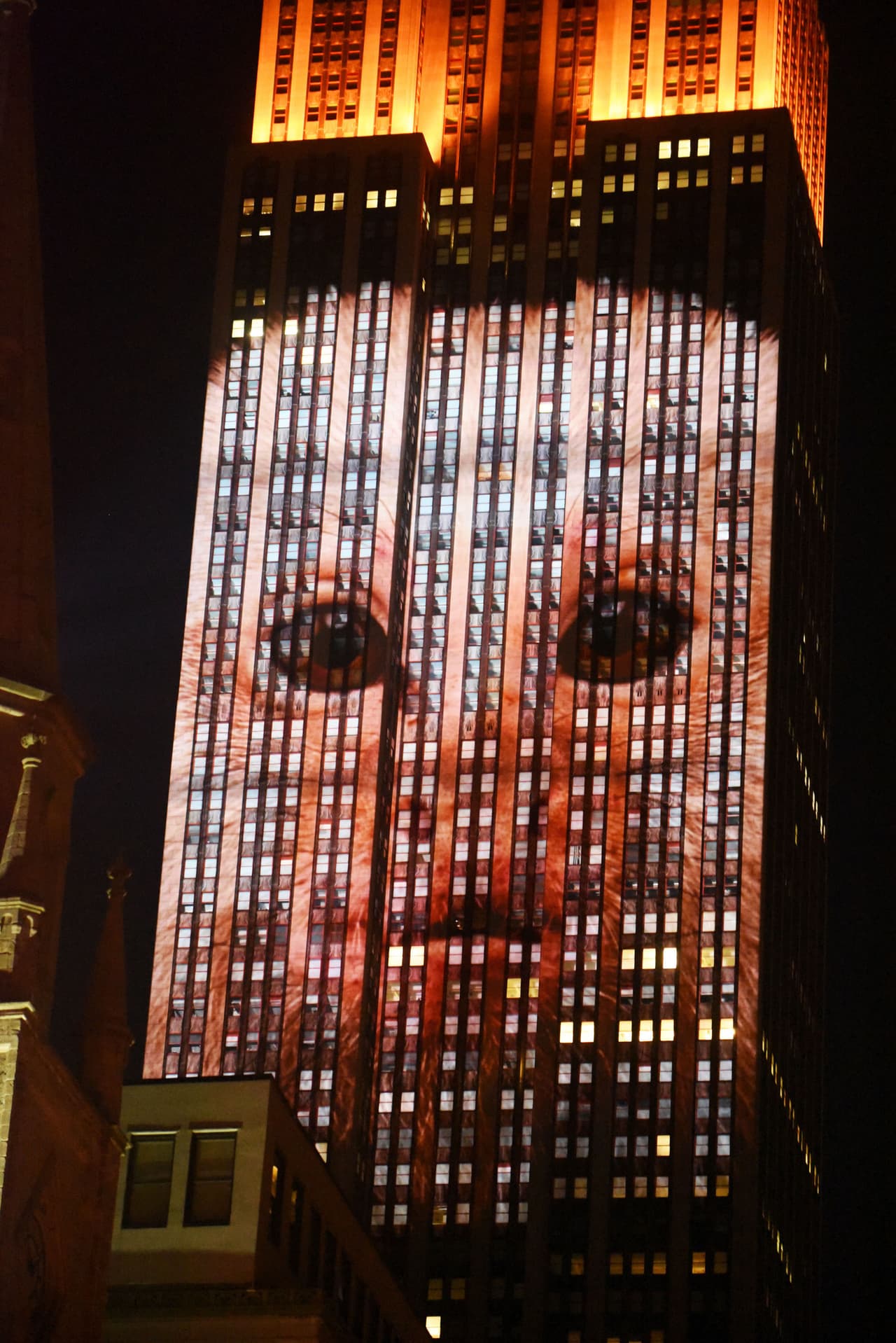 El famoso felino de Zimbabue murió en manos de un odontólogo que quería cazarlo.
