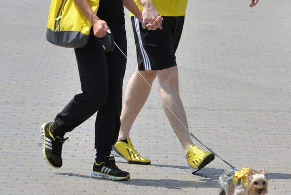 Si tu canino tiene estos problemas, aquí tenemos unas reglas para que su conducta no te provoque pesadillas:1. El ejercicio es el momento para scar su energía: La experta asegura que una mascota necesita por lo menos de 10 a 15 minutos de caminata con su correa, dos veces al día; el ejercicio aeróbico lo relajará, y 15 minutos de juego con algún ‘frisbee’ o pelota estimulará sus capacidades mentales.