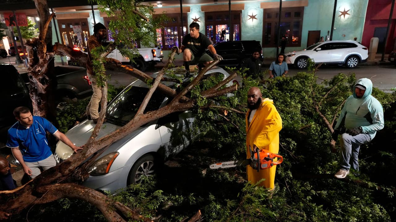 Qué hacer y a quién reportar la caída de un árbol en tu casa o carro