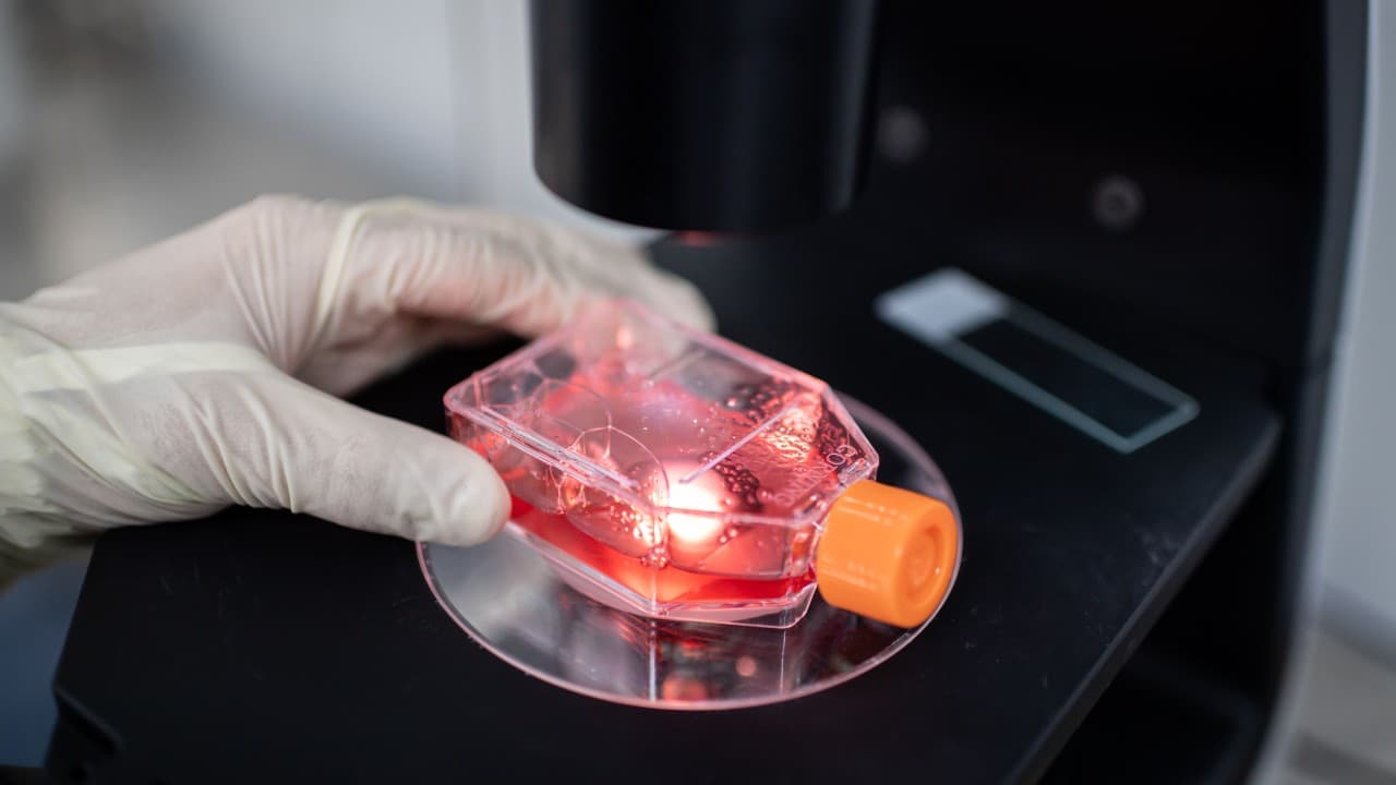 Cuarto caso: bartender de 30 años, sin historial de viajes da positivo a la nueva variante del coronavirus