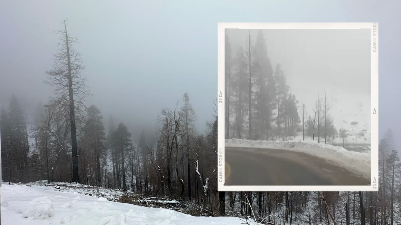 Niebla intensa y bajas temperaturas afectarán el Valle Central. Extrema precauciones al conducir