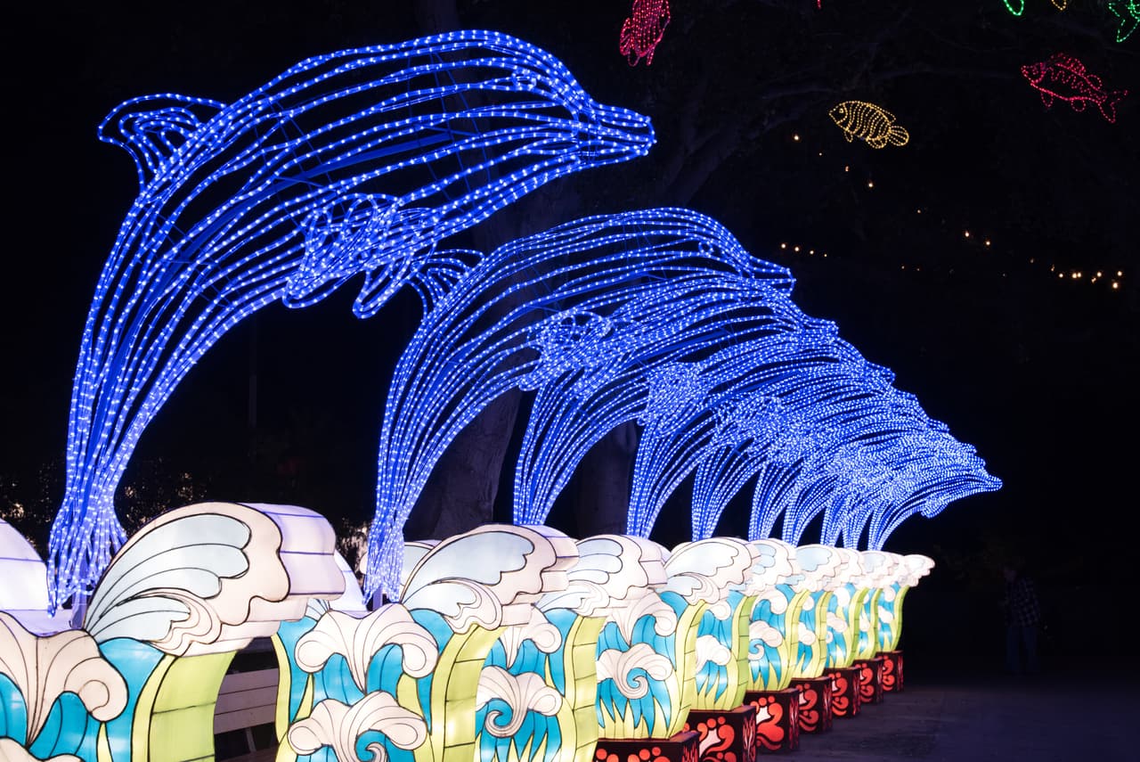 De acuerdo con los organizadores del festival, las linternas de la muestra no son ordinarias, se requieren casi 30,000 horas para diseñar las formas y todas están hechas a mano por maestros de Zigong, China.