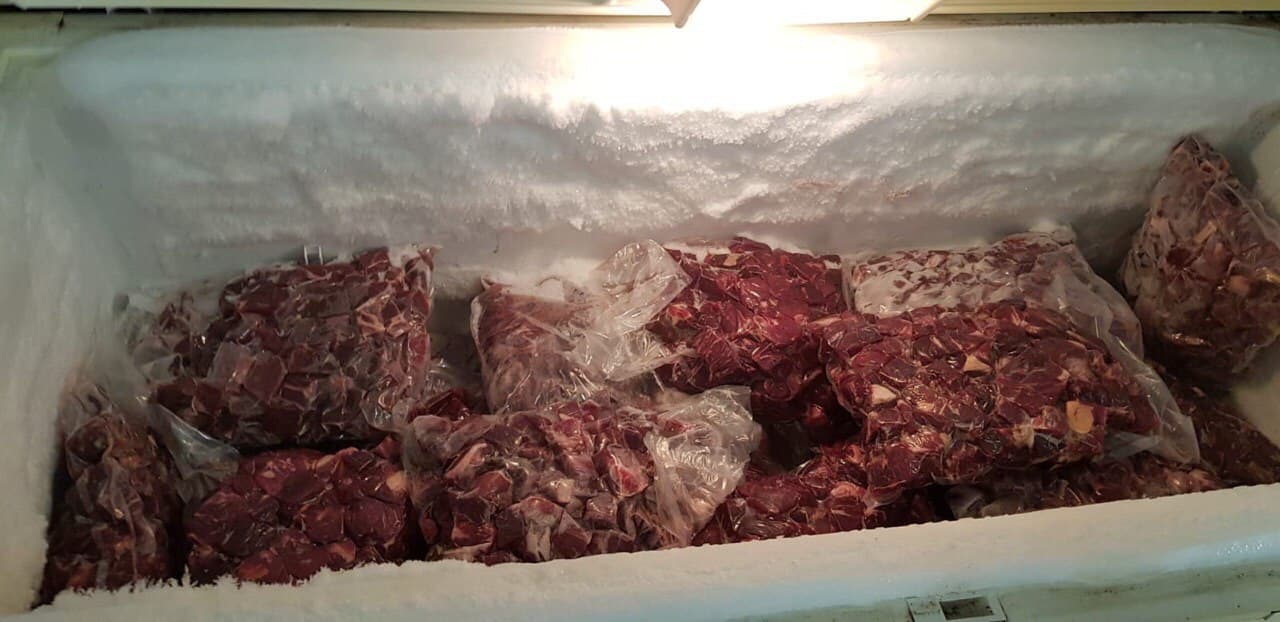 Anteriormente se han reportado controversias entre el Municipio de Mayagüez y el Departamento de Recursos Naturales sobre la administración del zoológico.