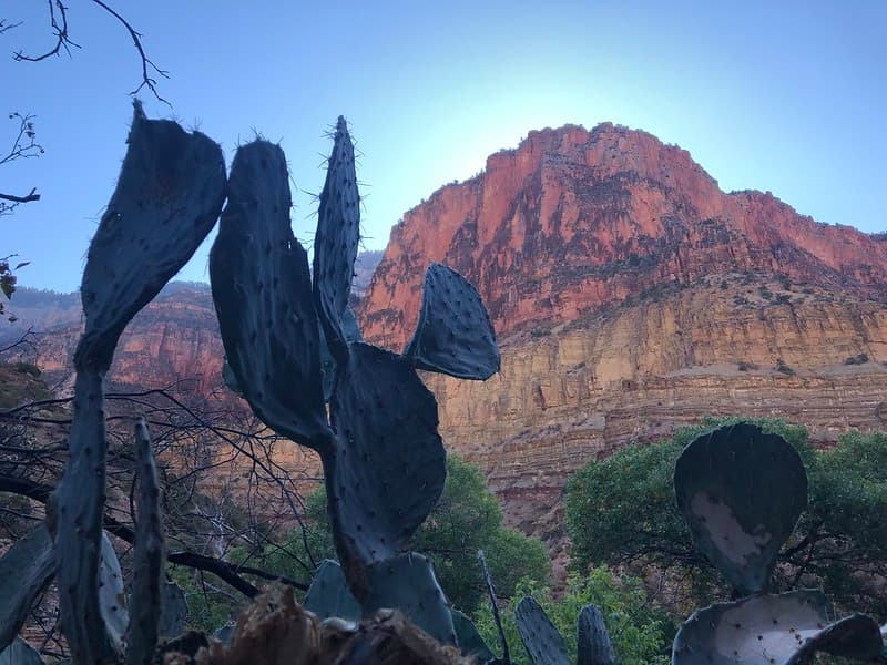 El Gran Cañón fue declarado Patrimonio de la Humanidad por la UNESCO y es el segundo parque nacional más visitado de Estados Unidos.