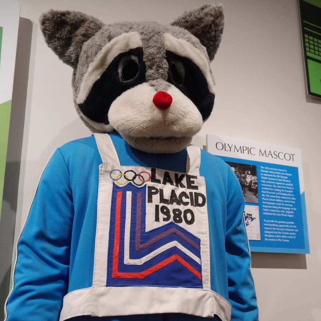 <b>Roni- Lake Placid 1980</b>
<br>
<br>Un mapache vestido con un maillot de patinaje y unos patines de hielo. Este animal es el máximo representante de la fauna de las cordilleras de Lake Placid.