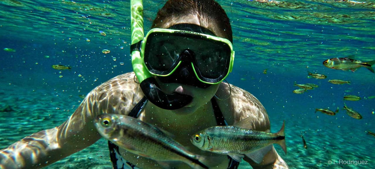 Illinois tiene varias opciones para poder tomar clases de natación. La 
<b><a href="https://www.redcross.org/local/illinois/take-a-class/swimming-lessons" target="_blank">Cruz Roja Americana</a></b> tiene un sistema de bases de datos que te permite explorar dónde ofrecen las clases. Por otro lado, la 
<b><a href="https://www.ymcachicago.org/programs/swimming" target="_blank">YMCA</a></b> también tiene alternativas para que niños y adultos aprendan a nadar.