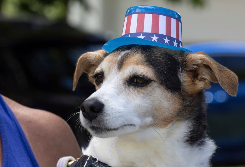 EN FOTOS: Los datos curiosos del Día de la Independencia, la fiesta que une a todos los estadounidenses