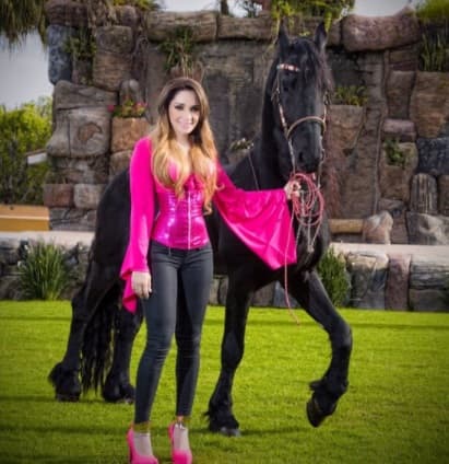 Melissa Plancarte la llamada 'Barby grupera', busca año con año quitarse la sombra de su padre, el narcotraficante Kike Blancarte y para ello trabaja en serio en sus propuestas musicales, tal es el caso de su reciente tema 'Tomo por gusto' que se ha posicionado muy bien en las listas de popularidad en varias estaciones de radio en México y Estados Unidos.