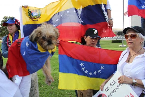 Pese a las distancias y tráfico característico de Los Ángeles, cientos de Venezolanos se unieron a la campaña mundial #SOSVenezuela para apoyar a todo el pueblo venezolano tras 10 días de protestas continuas en dicho país. A la manifestación se unieron guatemaltecos, peruanos, brasileños, libaneses, americanos y muchas otras nacionalidades que hacen vida en la Cosmopolita ciudad del oeste del país. Consignas, cantos y la familiaridad característica venezolana recibieron apoyo de los transeúntes en los alrededores del edificio Federal ubicado en la avenida Wilshire.