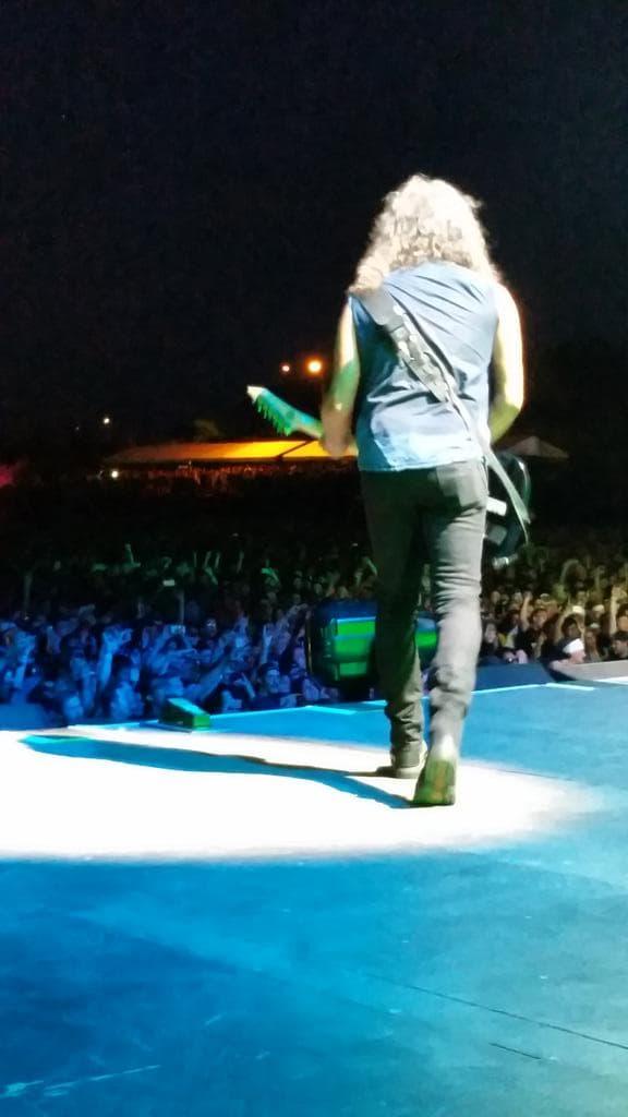 Los integrantes de Metallica: James Hetfield, Lars Ulrich, Robert Trujillo y Kirk Hammett, hicieron vibrar a las miles de personas que asistieron al segundo día del Lollapalooza 2015, ellos no dejaron de rocanrolear a tope. Temas como 'Nothing Else Matters' o 'Enter Sandman' fueron aclamadas por los seguidores quienes abarrotaron el Grant Park en Chicago.