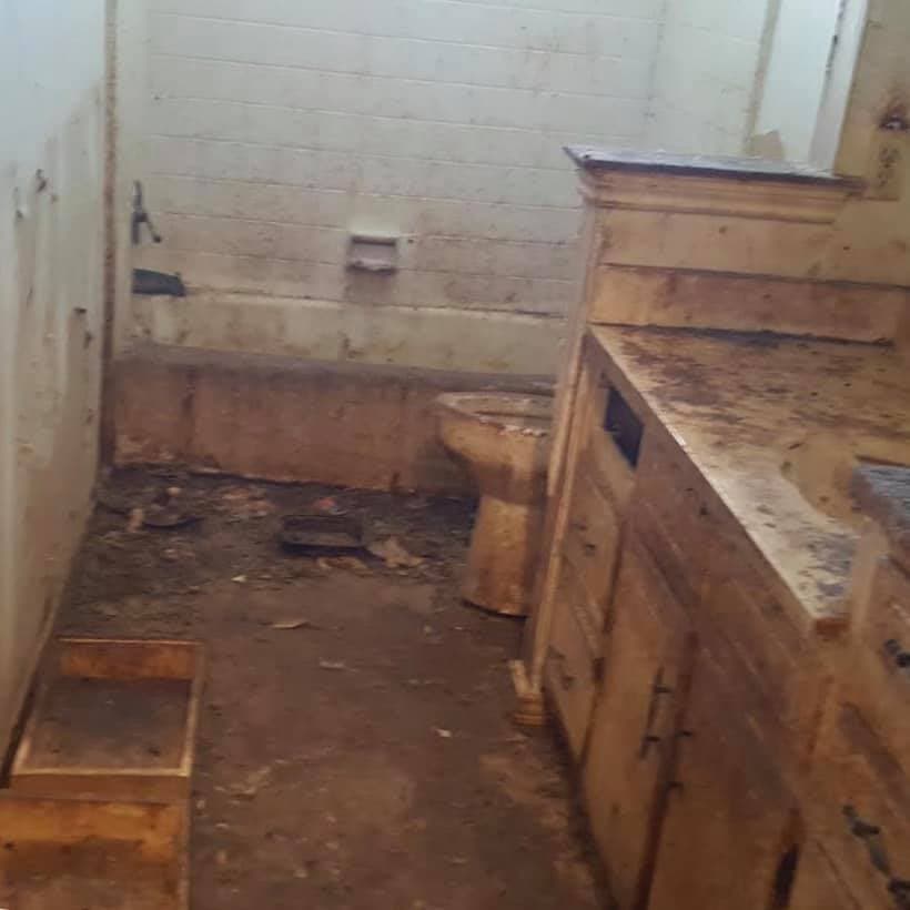 La Sociedad Humana Del Norte de Texas Hsnt busca apoyo financiero para cubrir el costo de la comida, la ropa de cama y el cuidado veterinario para estos gatos descuidados.