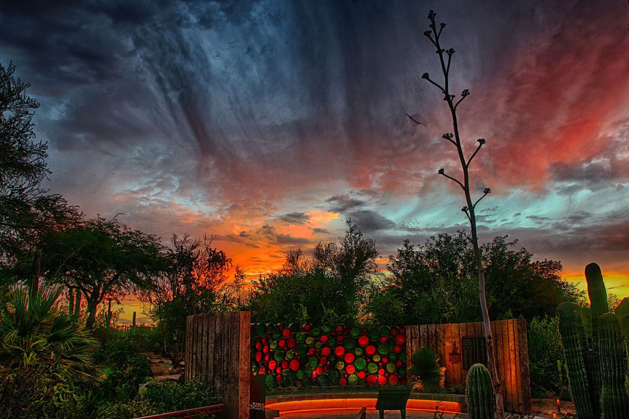 La exposición de arte regresa a Arizona el 3 de diciembre en los siguientes lugares: 
<a href="https://g.page/dbgphx?share" target="_blank">Desert Botanical Garden</a> en la ciudad de Phoenix y en el 
<a href="https://goo.gl/maps/myYjreRahFVYso1n7" target="_blank">Taliesin West en Scottsdale</a>, Arizona. 
<br>