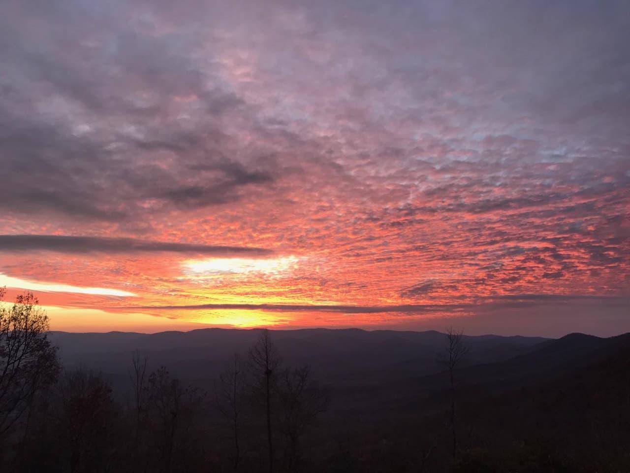 El paisaje espectacular y las rutas de senderismo hacen de Amicalola Falls State Park & Lodge uno de los parques estatales más populares de Georgia.
<br>
<br>
<b><a href="https://goo.gl/maps/4U3Co32BCmeFvMUU8">Cómo llegar</a></b>