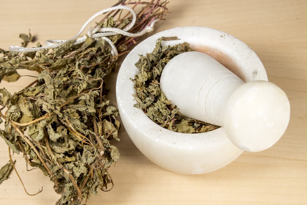 Algunos lo muelen o ponen hojas secas en una bolsita y otros la colocan en las entradas de sus casas o negocios para atraer la buena suerte y que el dinero fluya.