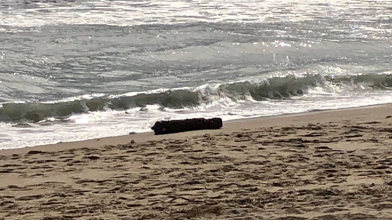 Hallan una bomba de la Segunda Guerra Mundial en una playa de Carolina del Norte