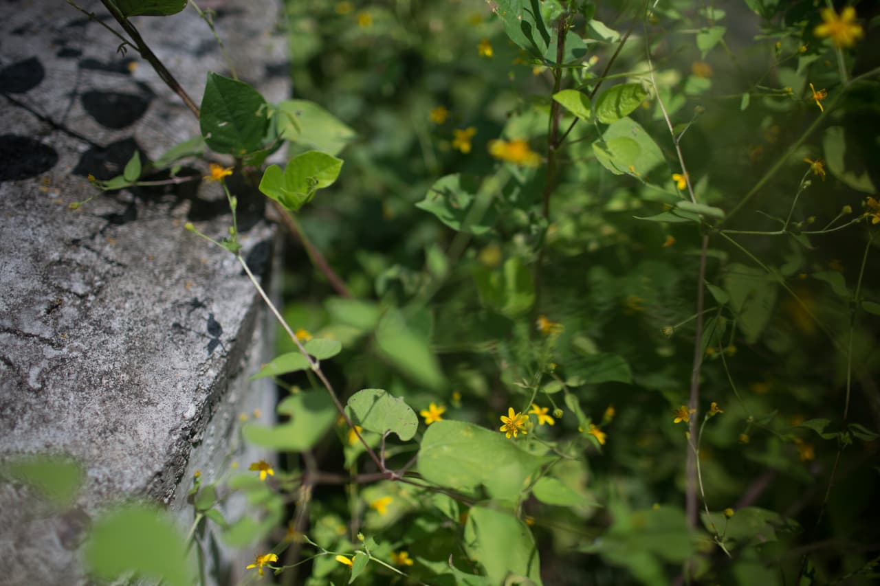 El pozo, a poca distancia de la casa abandonada, fue sellado por orden de la Fiscalía después de que vecinos denunciaron que olía a muerto y había cadáveres dentro.