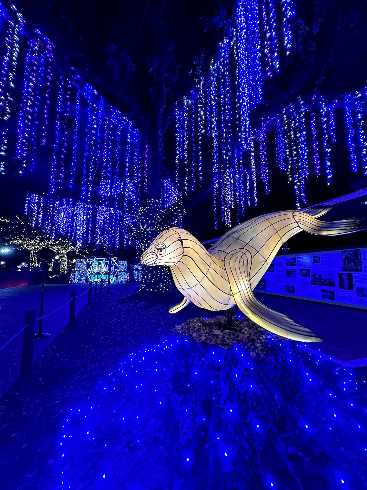 Los visitantes también pueden disfrutar de todo un paraíso invernal repleto de luces.