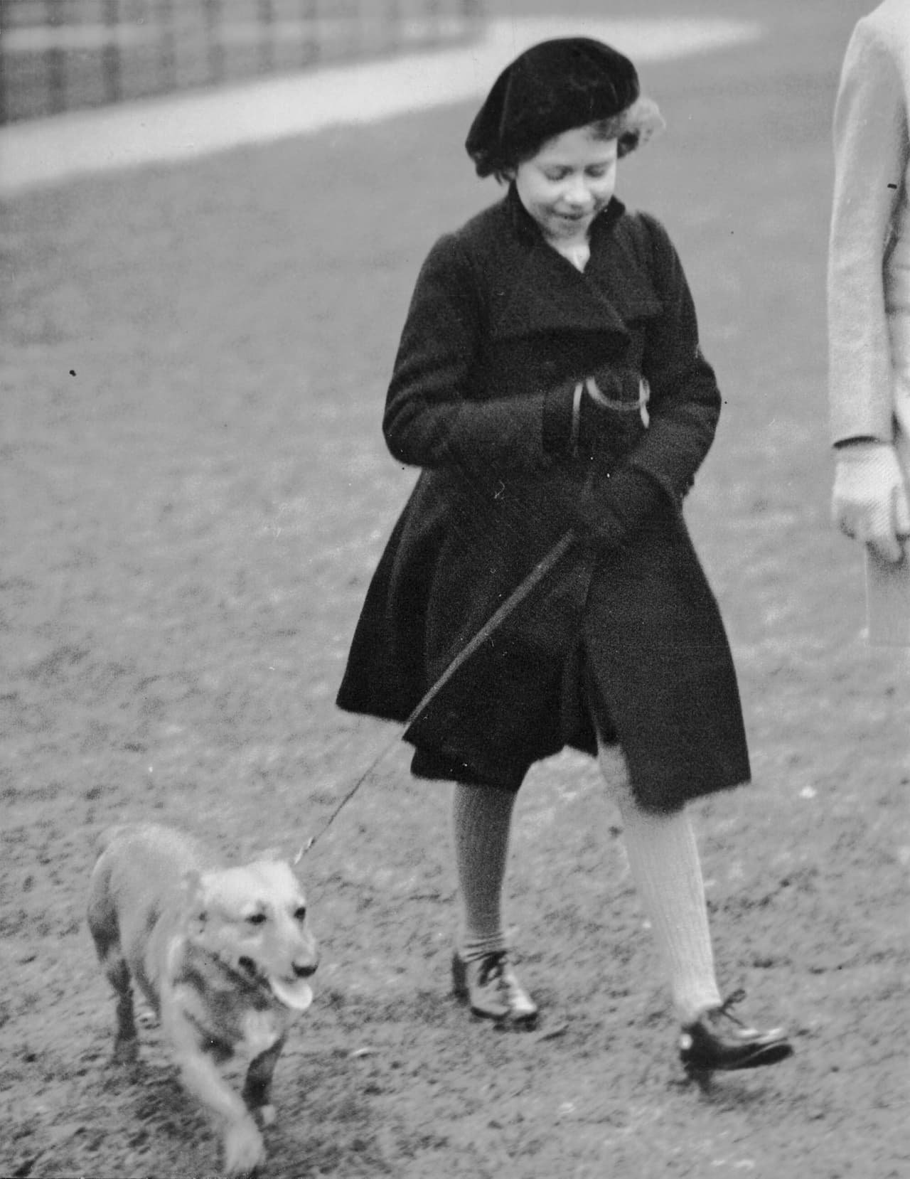 La princesa Isabel II pasea a su perro por Hyde Park, en Londres, el 26 de febrero de 1936. Hay reportes de que la princesa Diana llamaba a los corgis una "alfombra móvil" puesto que acompañaban a la monarca a donde quiera que iba.