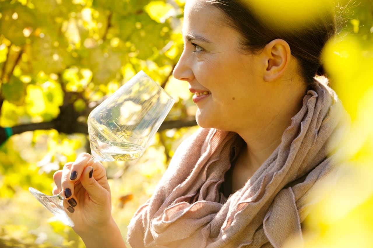 4.- OLFATO. Distinguir los distintos aromas de un vino es una de las partes más complicadas del arte de la cata. Por ello, se recomienda ejercitar el olfato con regularidad para poder apreciar las sutilezas que diferencian a los aromas del vino, lo puedes hacer con maderas, especias, flores y diversos olores más.