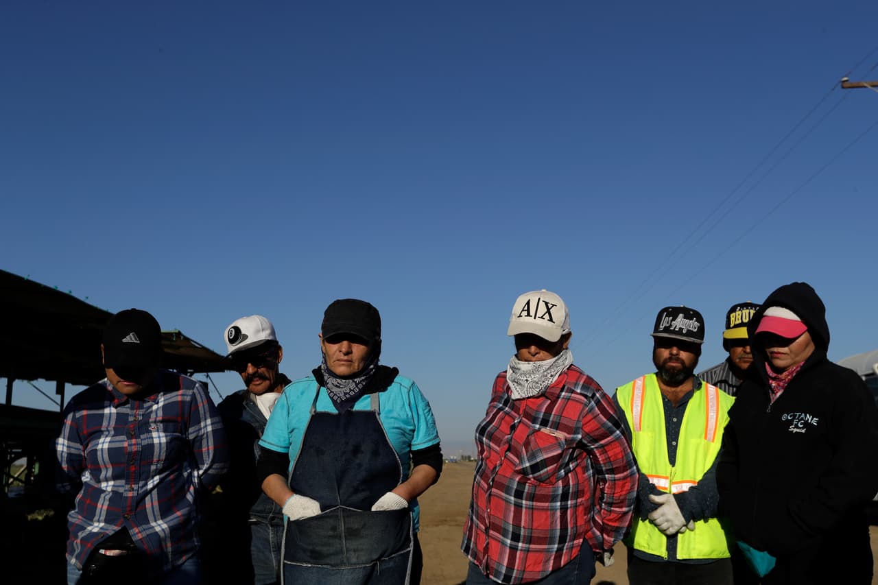 "Aunque uno se sienta enfermo, uno sigue yendo (a trabajar)": ser campesino en tiempos del coronavirus en Estados Unidos 