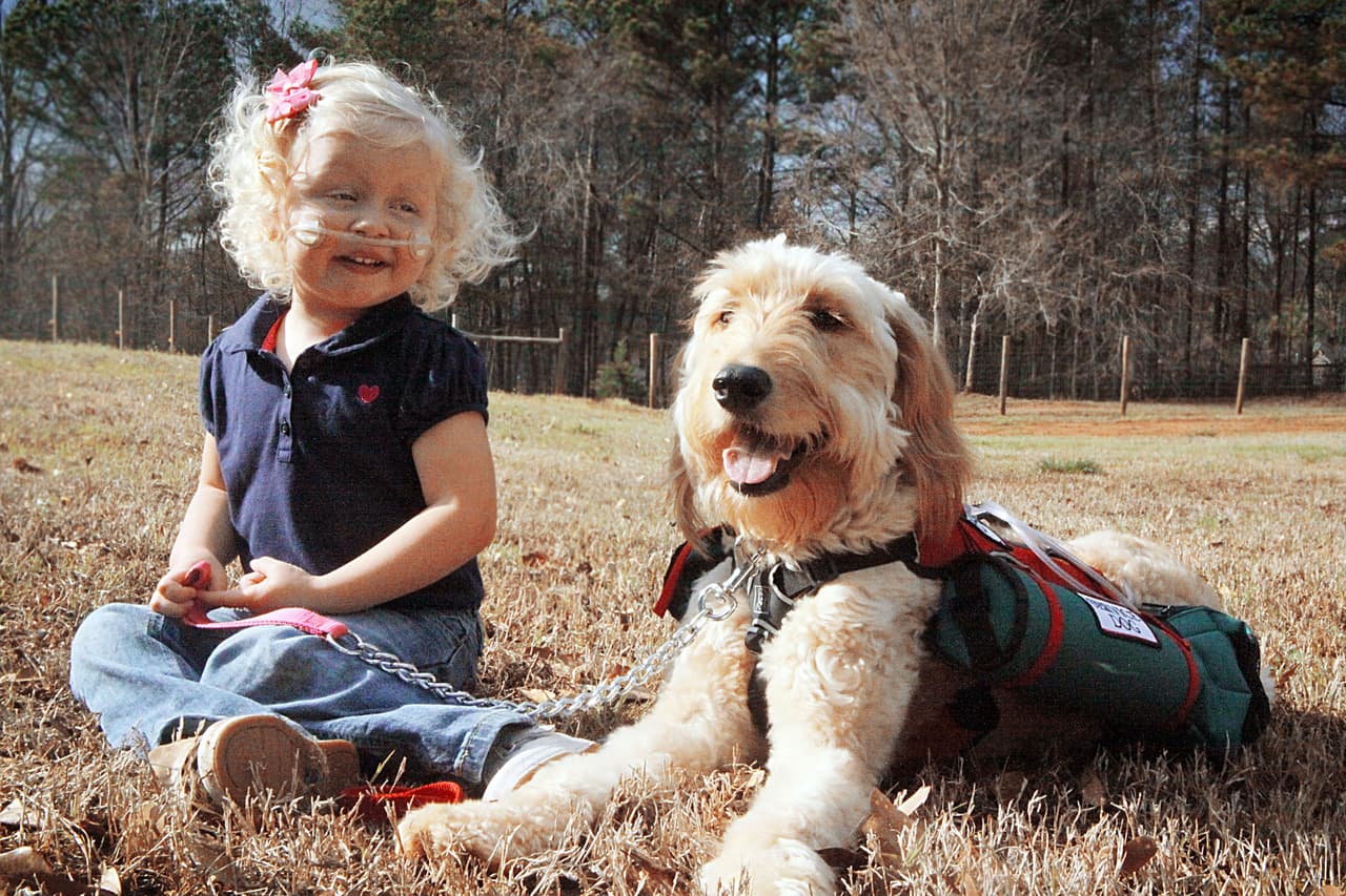 Junto a Ashleigh Kinsley, una entrenadora especial de canes, ahora la pequeña recibe el trato que necesita.