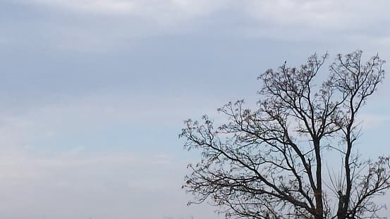 Se esperan cielos nublados con temperaturas en los 80 grados 