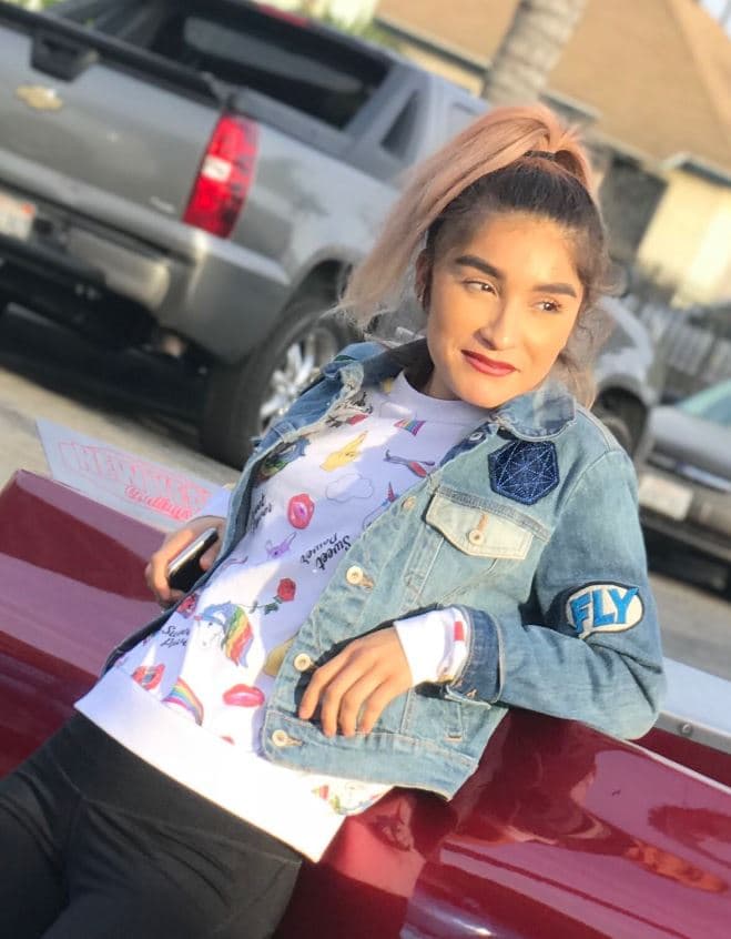 Un Infiniti gris que iba a exceso de velocidad por una calle residencial en Willowbrook acabó con la vida de la joven de 23 años.