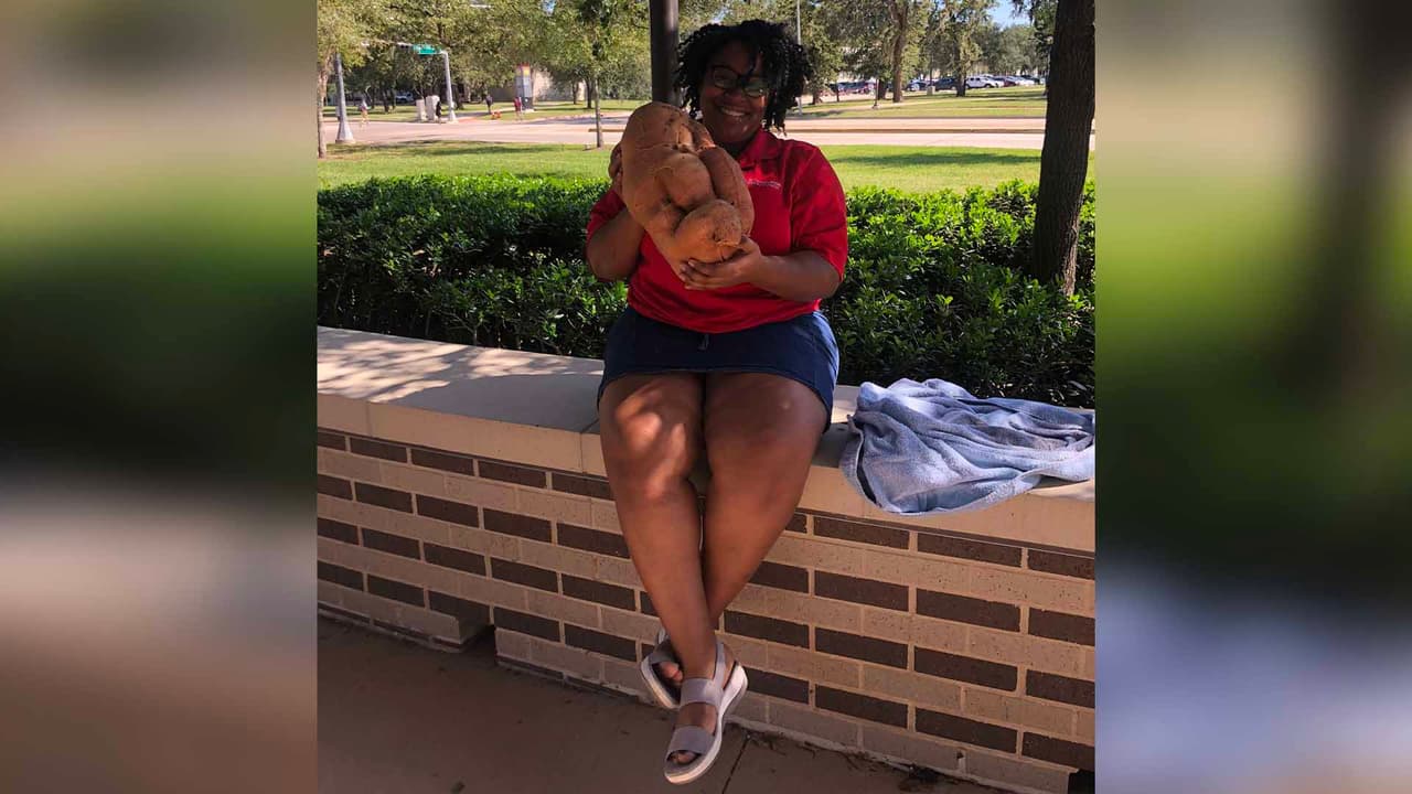 Encuentran una papa de 20 libras en el jardín de una casa en Houston